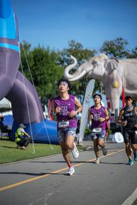 BIB: 
                            <button type="button" onclick="openModal(26542221)" class="btn btn-primary btn-sm float-right btn-popup" data-toggle="modal" data-target=".modal-high-quality">
                        <i class="fas fa-shopping-cart"></i> Add to Cart
                    </button>
                                            <button type="button" onclick="isThisMe(26542221, true)" class="btn btn-success btn-sm float-right btn-popup btn-isme hidden" data-toggle="tooltip" data-placement="bottom" title="นี่คือรูปของคุณใช่ไหม คลิกที่นี่เพื่อเอาเข้าอัลบั้ม">
                        <i class="fas fa-plus"></i> Add to album
                    </button>
                    <button type="button" onclick="isThisMe(26542221, false)" class="btn btn-warning btn-sm float-right btn-popup btn-isnotme hidden">
                        <i class="fas fa-ban"></i> Remove from album
                    </button>